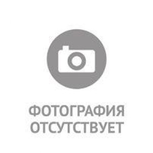 Русина Елена Евгеньевна Русина Елена Евгеньевна.
